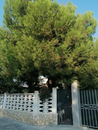 Villa Enza - A 150 Passi Dal Mare, Casa Vacanze