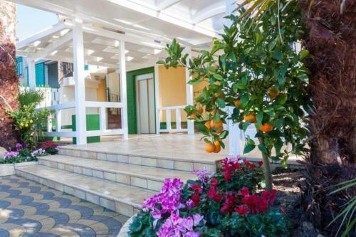 Mim� Hotel & Camping