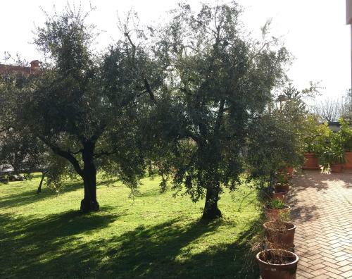 Apartamento La Casa Degli Ulivi