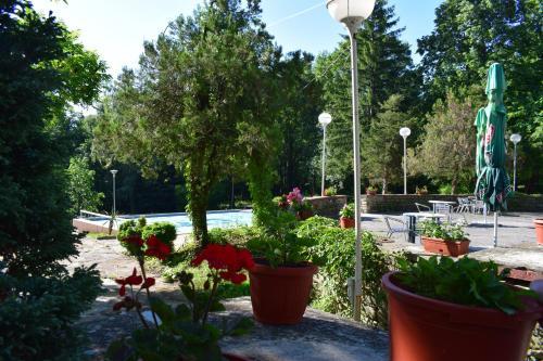Lyulyatsi Spa Hotel