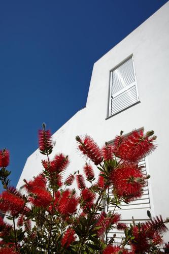 Cadaqu�s Apartaments