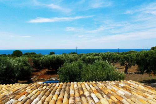 Pajara Salentina Con Ampia Veranda E Giardino