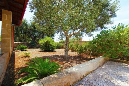 Pajara Salentina Con Ampia Veranda E Giardino