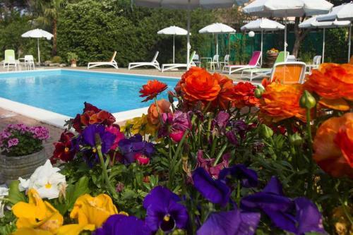 Apartment In Loano