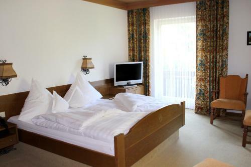 Hotel Alpina