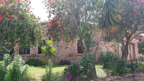 Agroturismo Agriturismo Pingitore