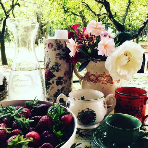 Bed & Breakfast Casina Mozart Lecce