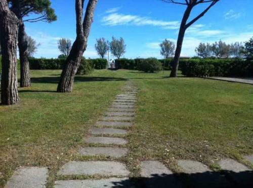 Apartment In Lido Di Jesolo 41096