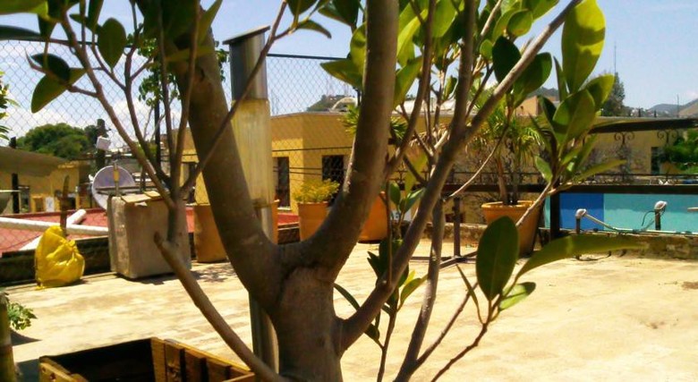 Albergue Posada De X�chitl - Centro