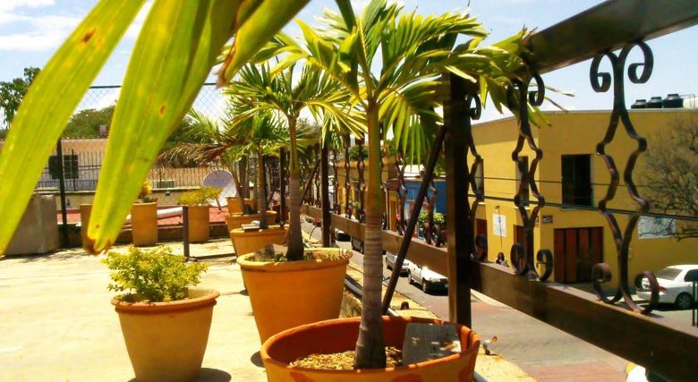 Albergue Posada De X�chitl - Centro