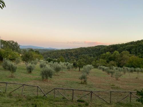 Agroturismo Agriturismo Borgo Serafino