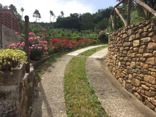 Apartamento Il Frantoio - A