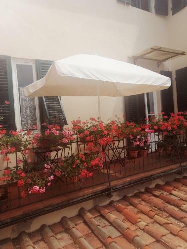 Bed And Breakfast Evelina