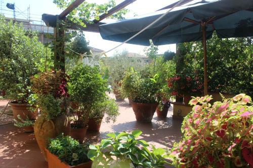 Apartamento La Terrazza Da Ernestina