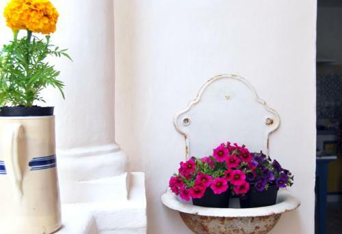 Df Bed And Breakfast