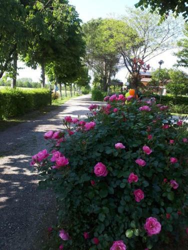 Agroturismo Agriturismo Praetto