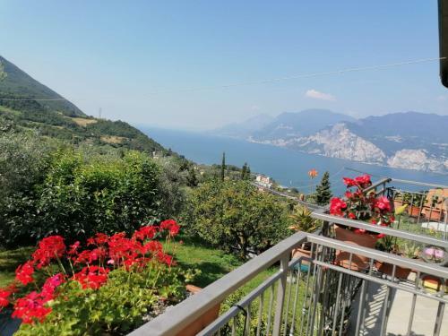 Apartamento Appartamento Aurora