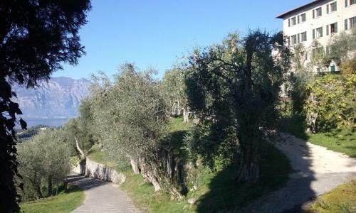 B&B Villa Candoras