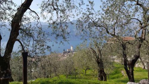 Apartamento Angolo Lake Studio