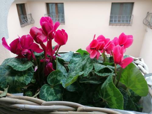 Apartamento Ca'mathilde