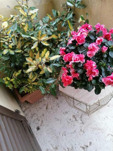 Apartamento Ca'mathilde