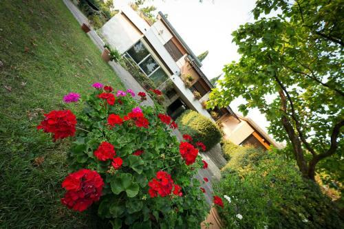 Bed & Breakfast Villa Berrettini