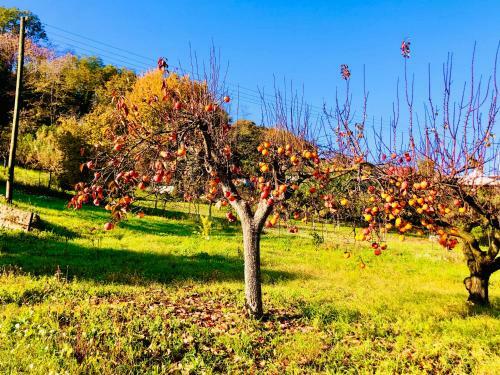 Hostal Villa Bea