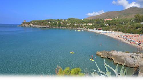Bed & Breakfast Cilento Room