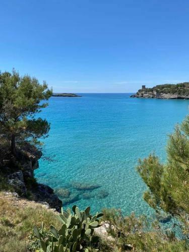 Bed & Breakfast Cilento Room