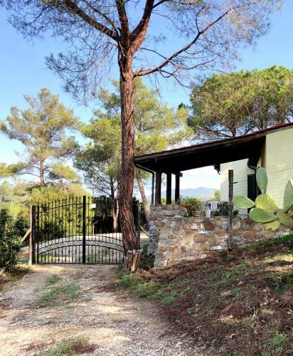 Elba Villa Colle - Nel Verde Ma Vicina Al Mare