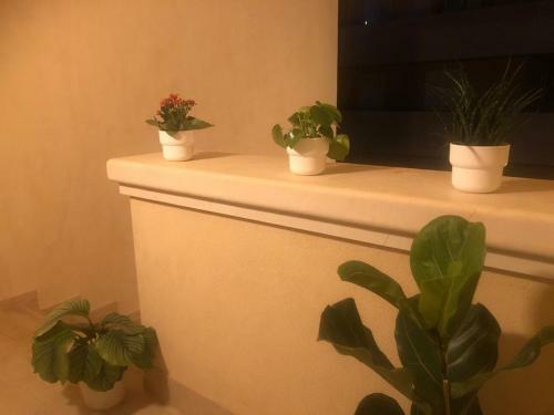 Apartamento Residence Romeo