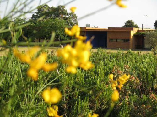 Bed & Breakfast Fundaci� L'olivar