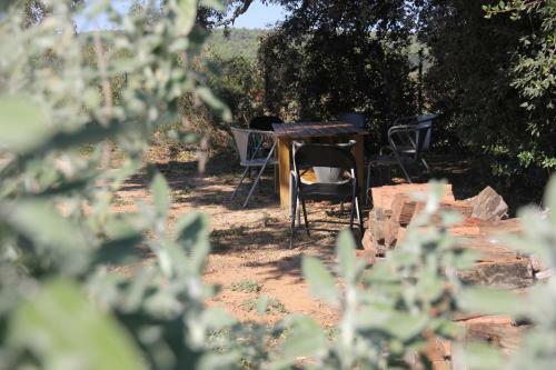 Bed & Breakfast Fundaci� L'olivar