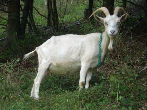 Apartamento Hohle Kirche