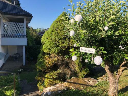 Apartamento Fewo Hegauhaus Alkapa