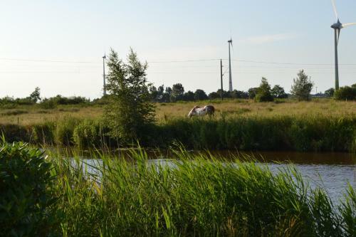 Ferienhaus Am Wasser (Knockster Tief)