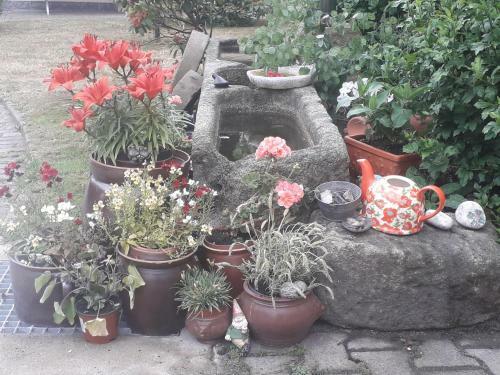Apartamento Sommerfrische