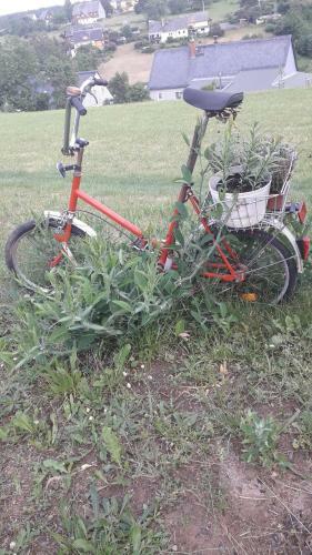 Apartamento Sommerfrische