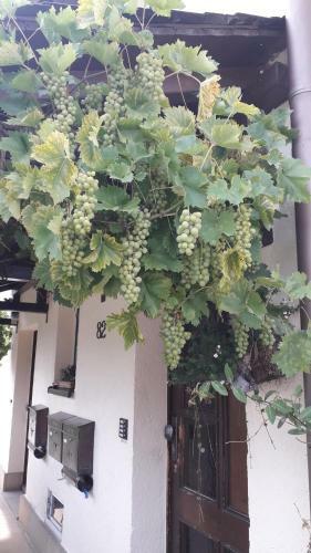 Apartamento Sommerfrische