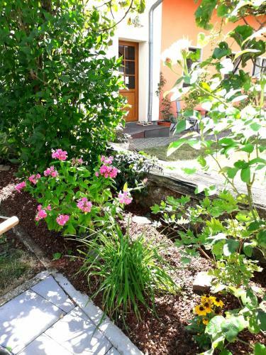 Apartamento Ferienwohnung Adams