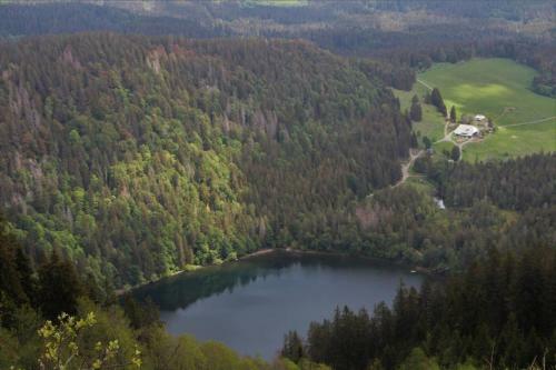 Apartamento Ferienwohnung Schwarzwald