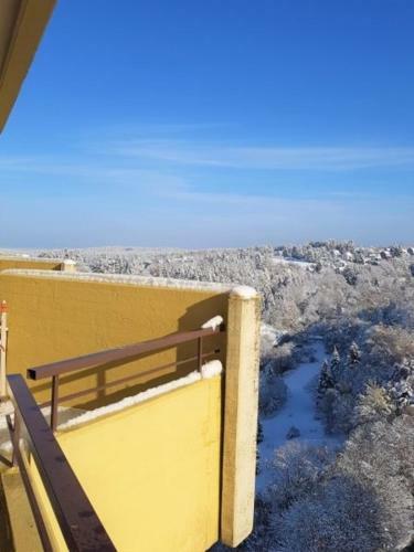Apartamento App 420 Im Panoramic Braunlagehohegei�
