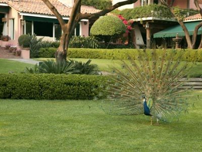 Hotel Las Ma�anitas