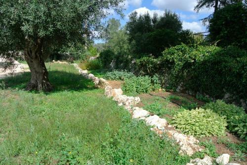 Agroturismo Agriturismo Villa Coluccia