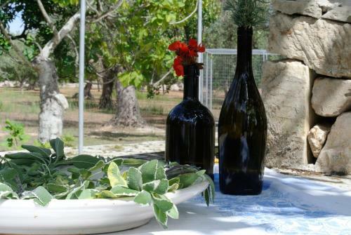 Agroturismo Agriturismo Villa Coluccia
