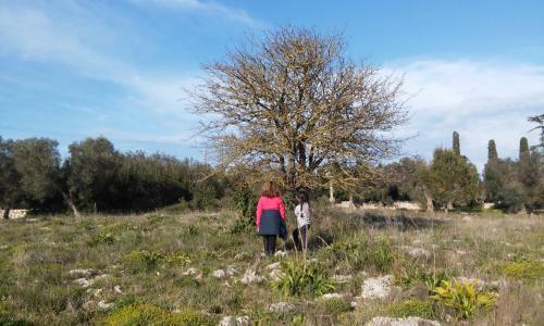 Agroturismo Agriturismo Villa Coluccia