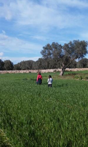 Agroturismo Agriturismo Villa Coluccia