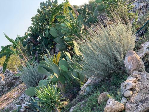 Hostal Masseria Petra