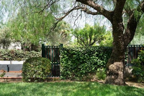 La Casa Di Masina - A Surrounded Garden Villa -