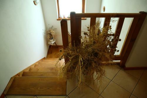 Bed & Breakfast Le Sorgive